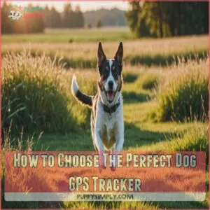 How to Choose The Perfect Dog GPS Tracker