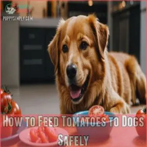 How to Feed Tomatoes to Dogs Safely