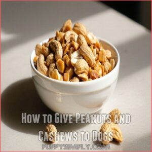 How to Give Peanuts and Cashews to Dogs