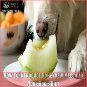 How to Introduce Honeydew Melon to Your Dog's Diet How to Introduce Honeydew Melon to Your Dog's Diet