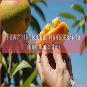 How to Introduce Mangoes Into Your Dog's Diet