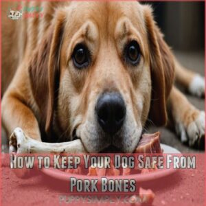 How to Keep Your Dog Safe From Pork Bones