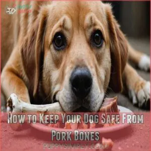 How to Keep Your Dog Safe From Pork Bones