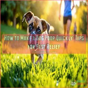 how to make a dog poop quickly