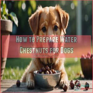 How to Prepare Water Chestnuts for Dogs