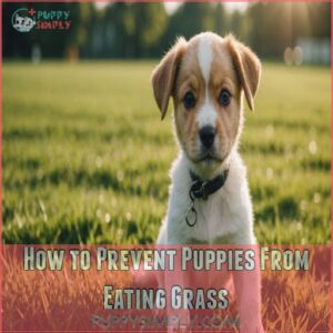 How to Prevent Puppies From Eating Grass