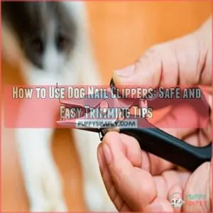 how to use dog nail clippers