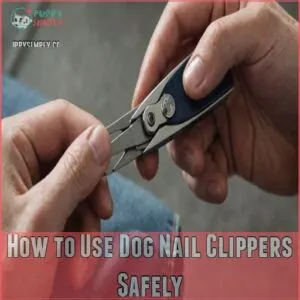 How to Use Dog Nail Clippers Safely