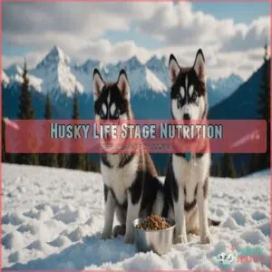 Husky Life Stage Nutrition