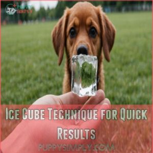 Ice Cube Technique for Quick Results