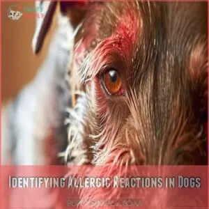 Identifying Allergic Reactions in Dogs