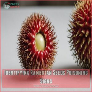 Identifying Rambutan Seeds Poisoning Signs