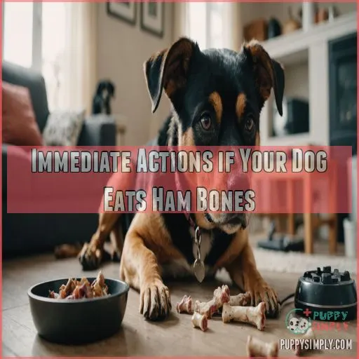 Immediate Actions if Your Dog Eats Ham Bones