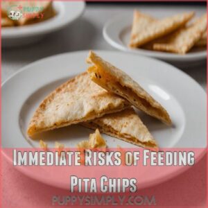 Immediate Risks of Feeding Pita Chips