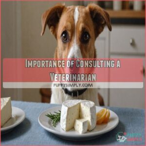 Importance of Consulting a Veterinarian