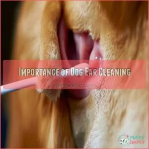 Importance of Dog Ear Cleaning