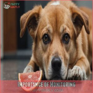 Importance of Monitoring