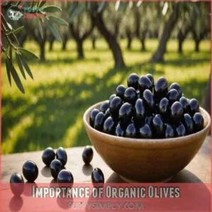 Importance of Organic Olives