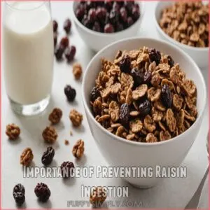 Importance of Preventing Raisin Ingestion