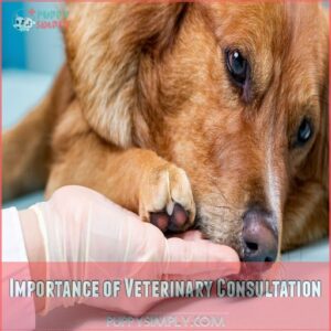 Importance of Veterinary Consultation