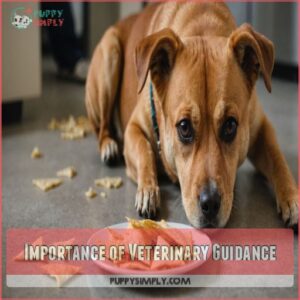 Importance of Veterinary Guidance