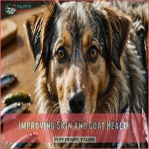 Improving Skin and Coat Health