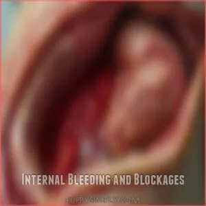 Internal Bleeding and Blockages