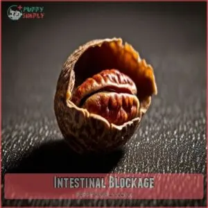 Intestinal Blockage