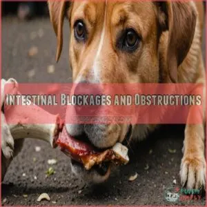 Intestinal Blockages and Obstructions