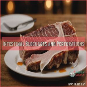 Intestinal Blockages and Perforations