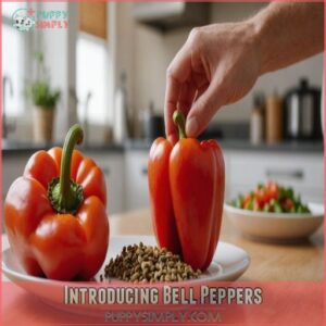 Introducing Bell Peppers