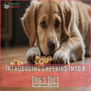 Introducing Cheerios Into a Dog