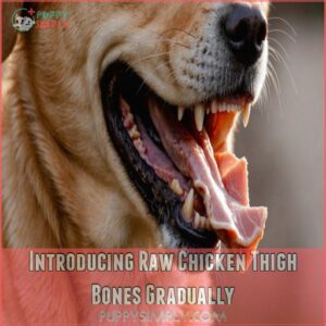 Introducing Raw Chicken Thigh Bones Gradually