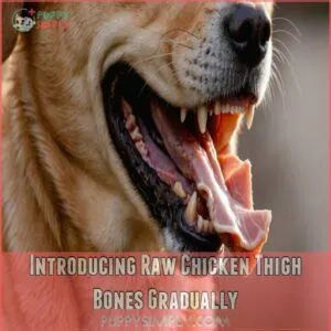 Introducing Raw Chicken Thigh Bones Gradually Introducing Raw Chicken Thigh Bones Gradually