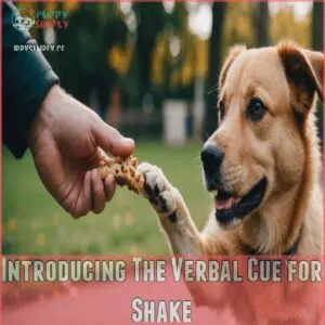 Introducing The Verbal Cue for Shake