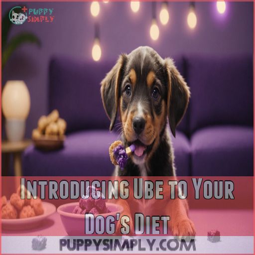 Introducing Ube to Your Dog