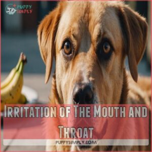 Irritation of The Mouth and Throat