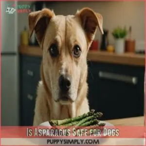 Is Asparagus Safe for Dogs