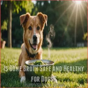 Is Bone Broth Safe and Healthy for Dogs