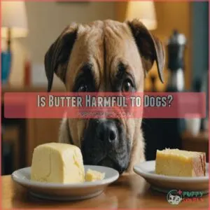 Is Butter Harmful to Dogs