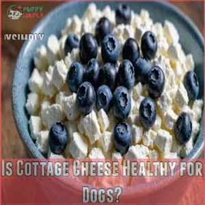 Is Cottage Cheese Healthy for Dogs