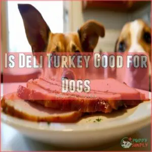 Is Deli Turkey Good for Dogs