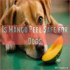 Is Mango Peel Safe for Dogs Is Mango Peel Safe for Dogs