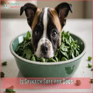 Is Spinach Safe for Dogs