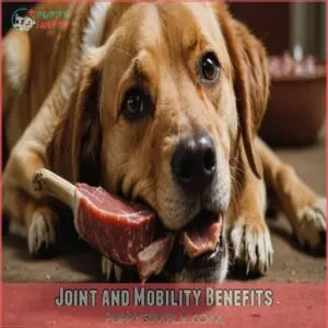 Joint and Mobility Benefits