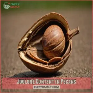 Juglone Content in Pecans