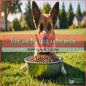 Kirkland Dog Food: an Overview