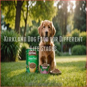 Kirkland Dog Food for Different Life Stages