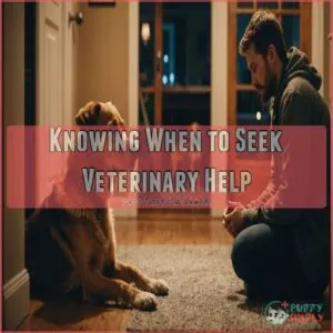 Knowing When to Seek Veterinary Help