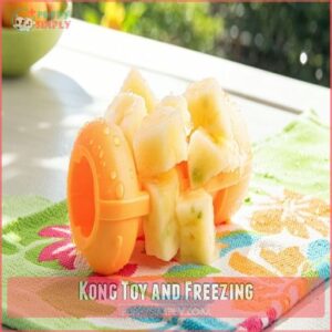 Kong Toy and Freezing